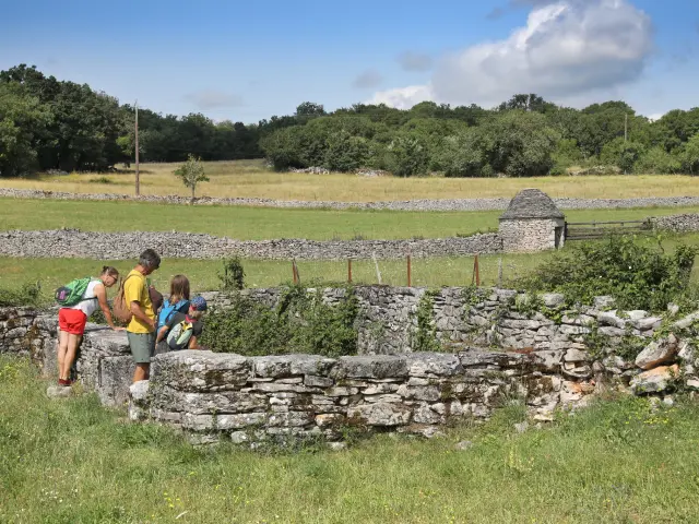 Randonnée sur les sentiers d'Espédaillac, au cœur des Causses du Quercy