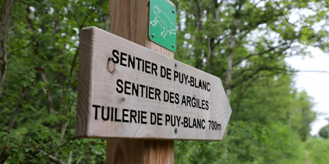 Randonnée sur le sentier de Puy-Blanc à Cambes