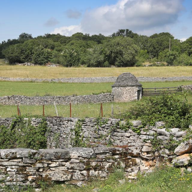 Randonnée à Espédaillac, dans le Lot, sur les causses du Quercy, Géoparc Mondial Unesco