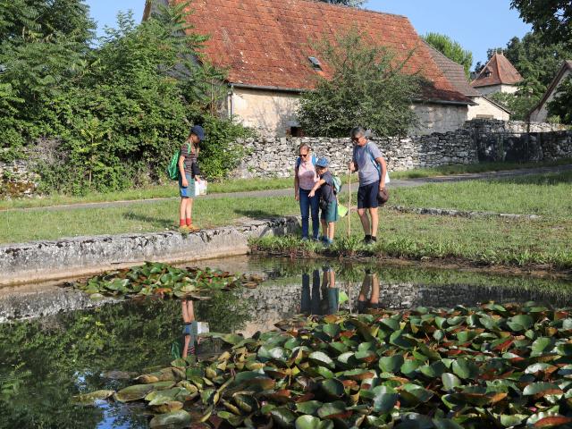 Randonnée sur le sentier de la brebis à Espédaillac