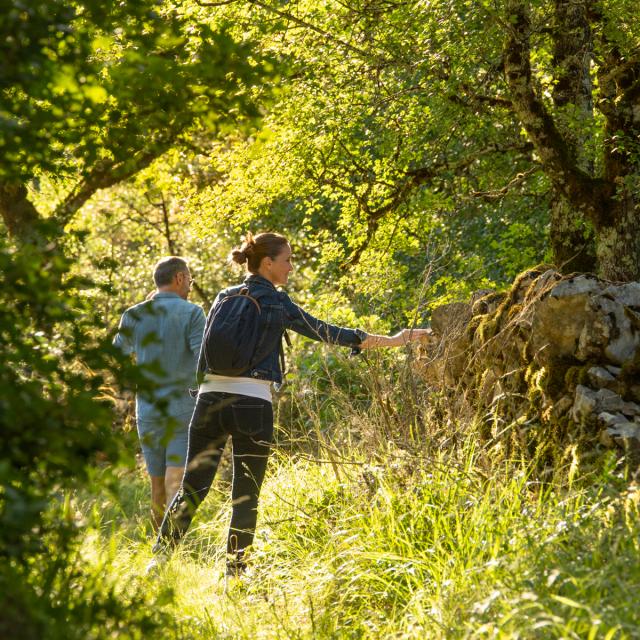 Balade, randonnées entre les murets en pierre sèche des Causses du Quercy, Géoparc Mondial Unesco