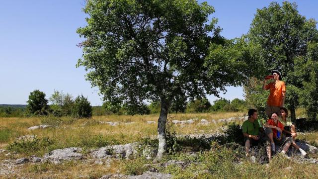 Randonnée entre amis Sur Le Causse