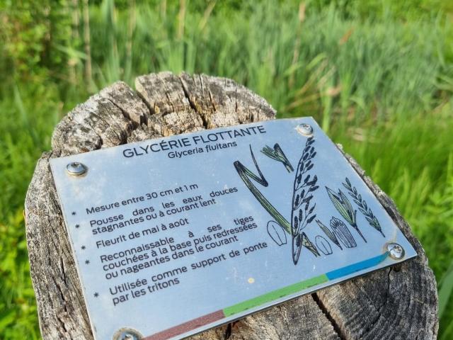 Informations flore sentier pédagogique Ségala