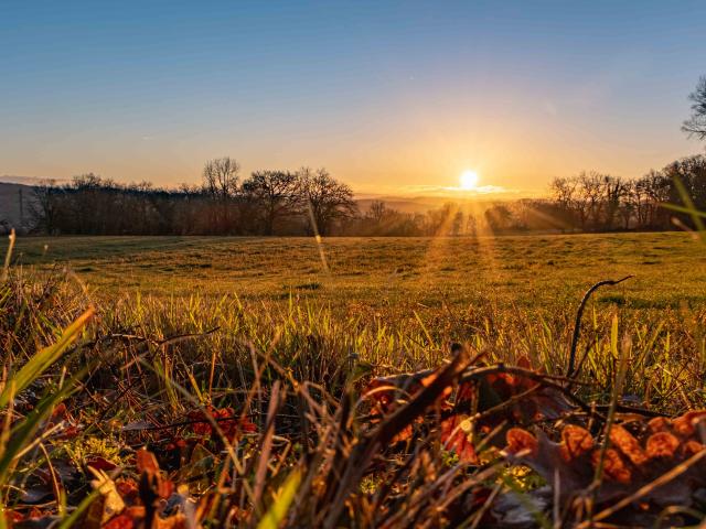 Soleil levant en automne