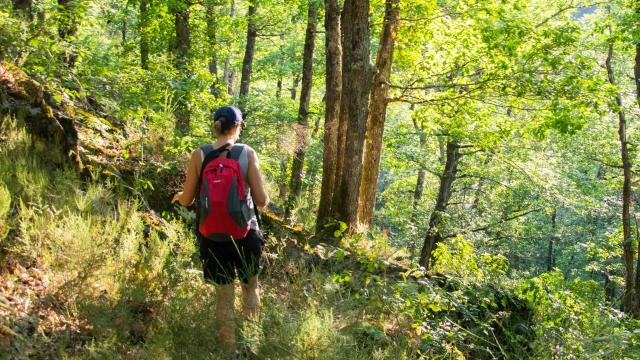 Descente du chemin vers le gouffre des cloches