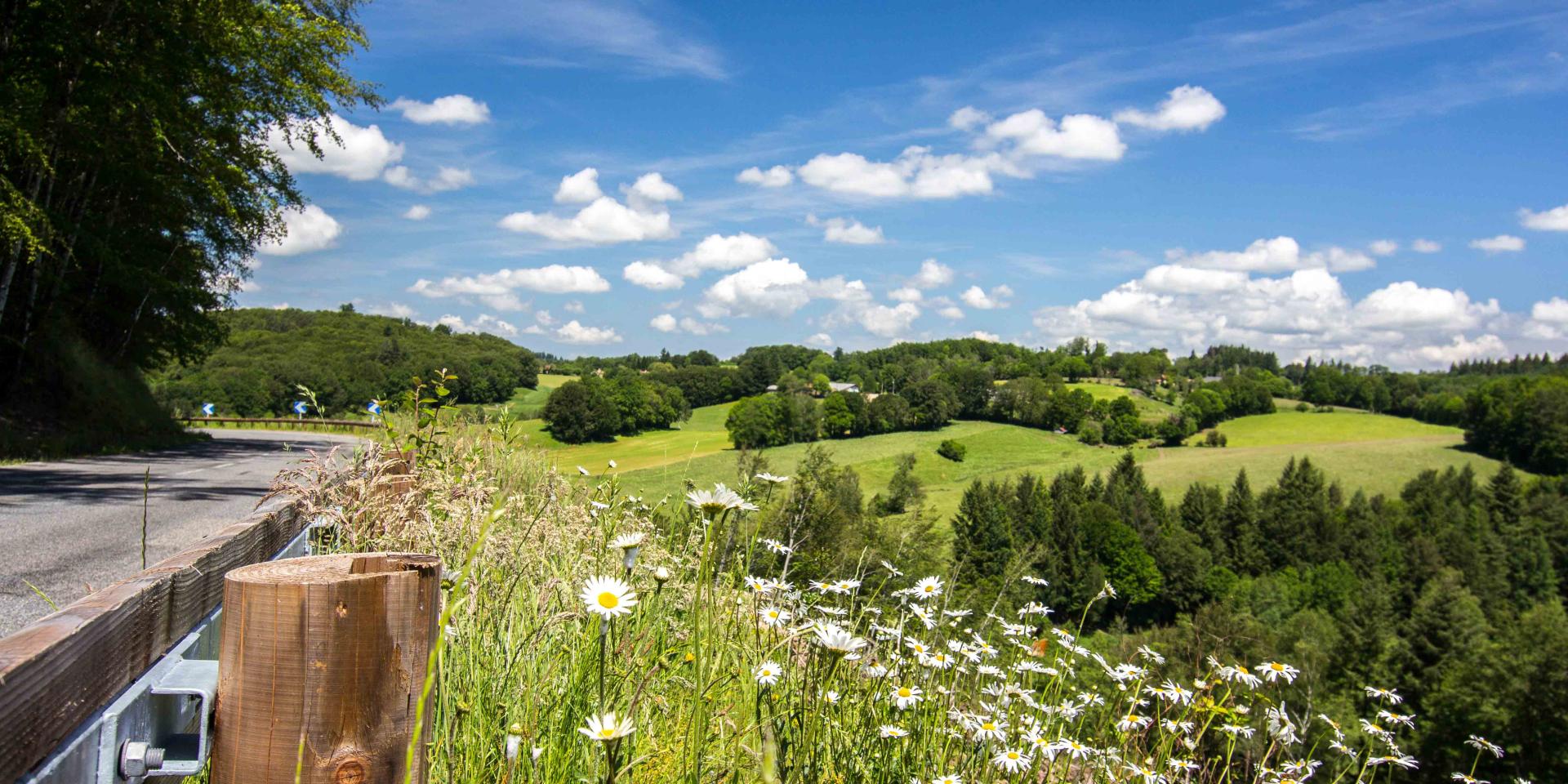Paysage du Ségala