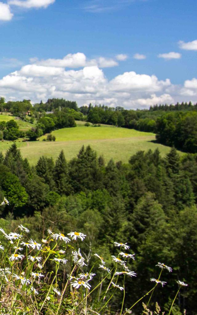 Paysage vallonné du Ségala, au printemps, dans le Lot.