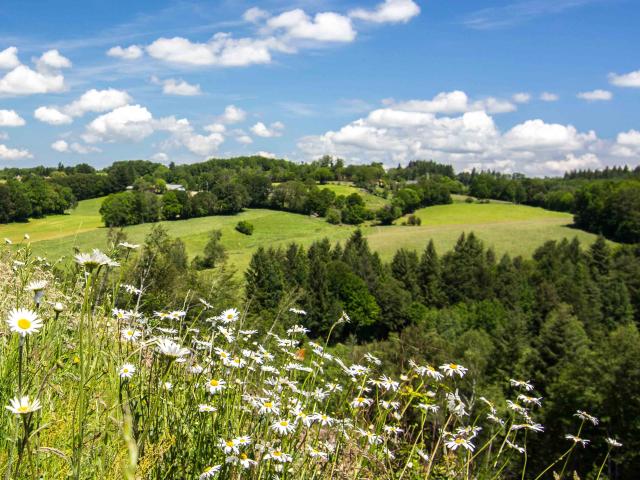 Paysage du Ségala