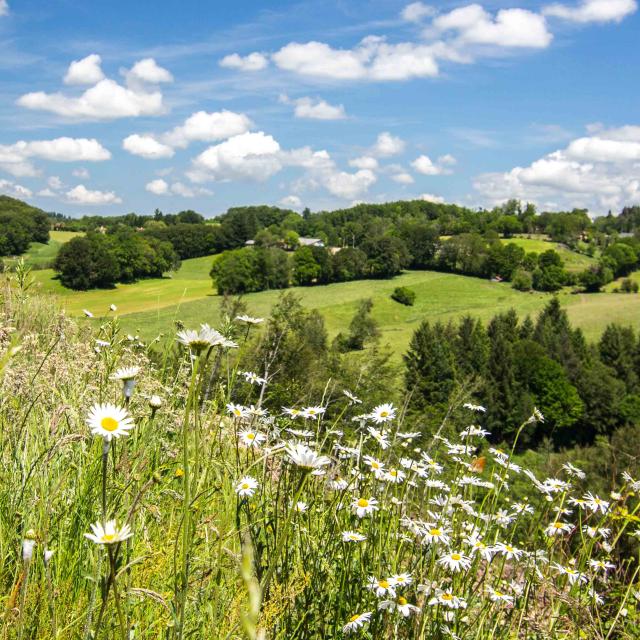 Paysage du Ségala