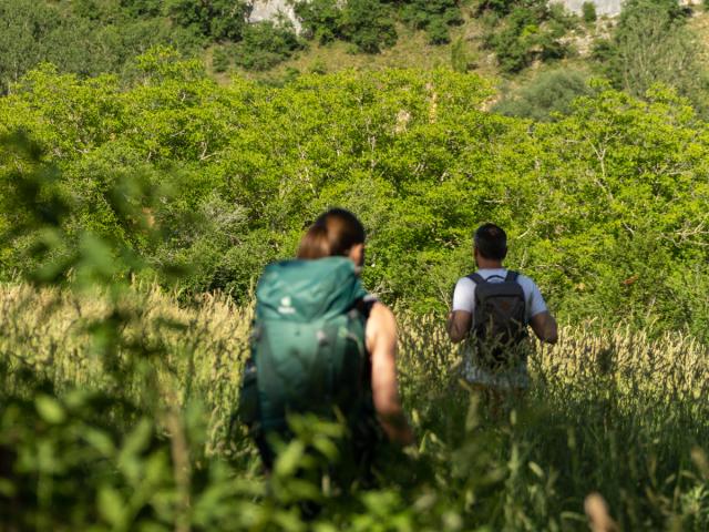 Randonner entre causse et vallée