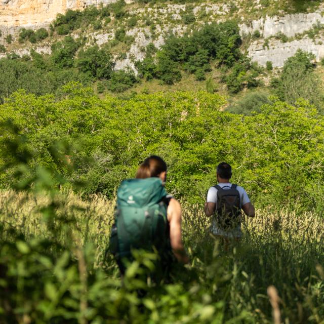 Randonner entre causse et vallée