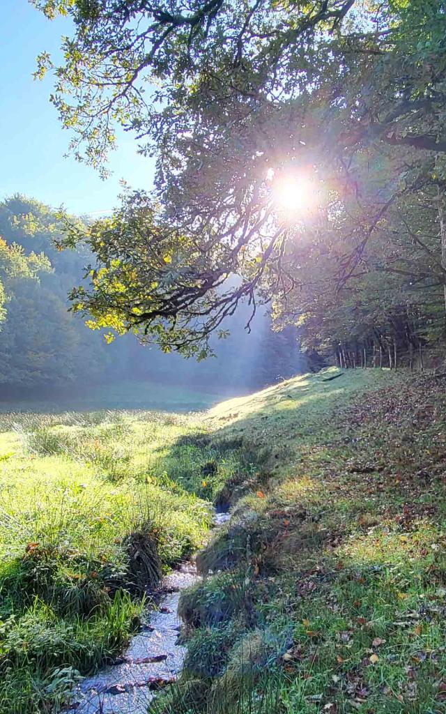 Champ ruisseau et forêt du Ségala