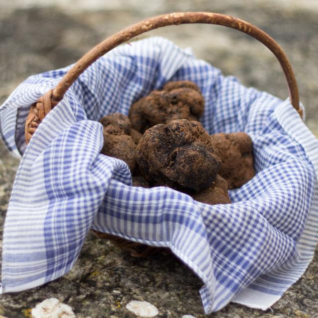 Panier de truffes