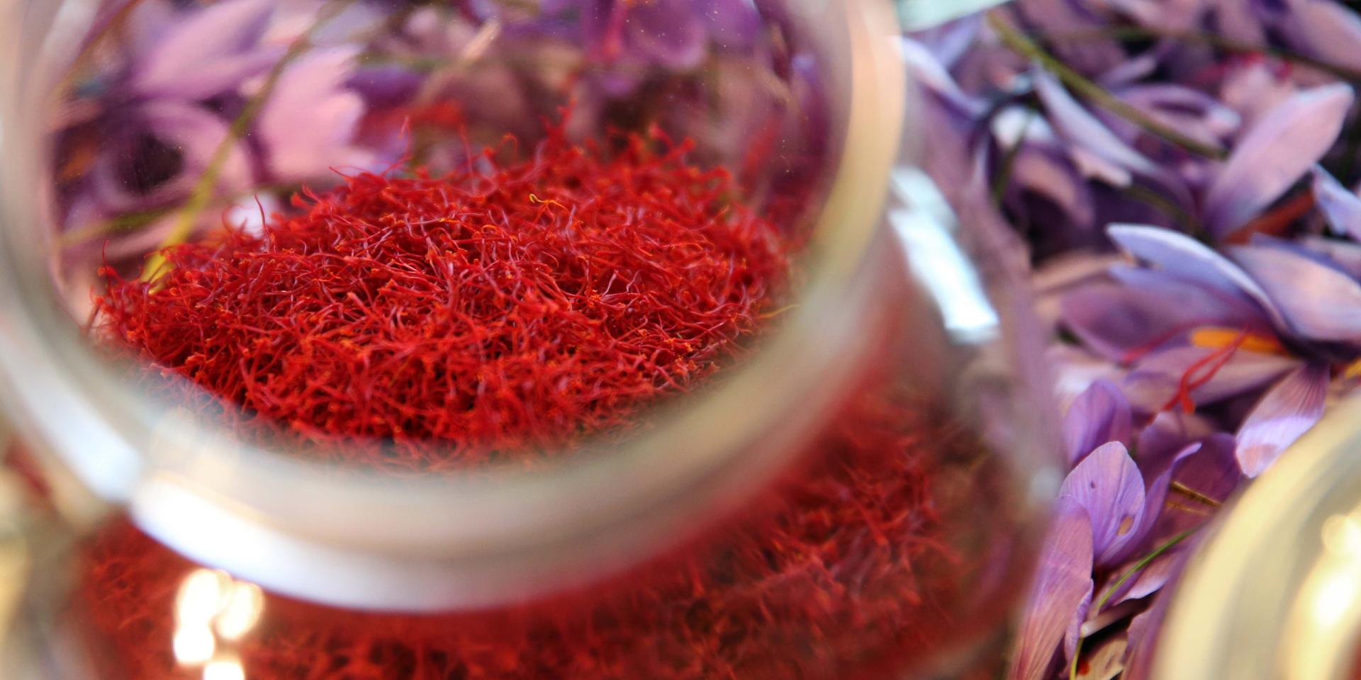 Saffron of Quercy