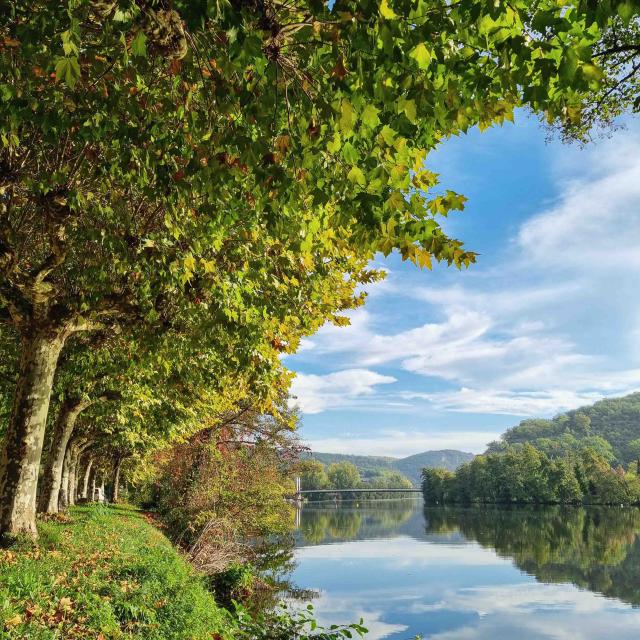 Walk along the trees and the river Lot