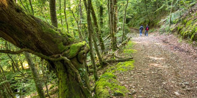 Chemin À Terrou © Lot Tourisme C. Novello 160606 103449