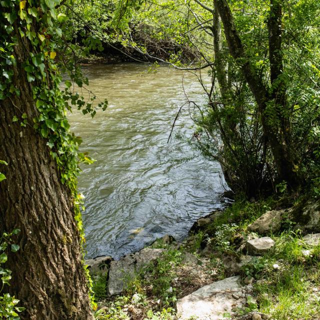 River detail ©otgf L.berton 6