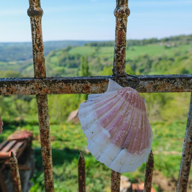 Coquilles Saint Jacques à Faycelles ©otgf L.berton