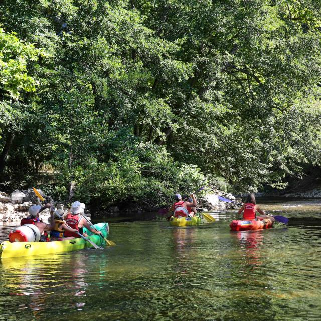 © Jerome Morel Fk7a5258