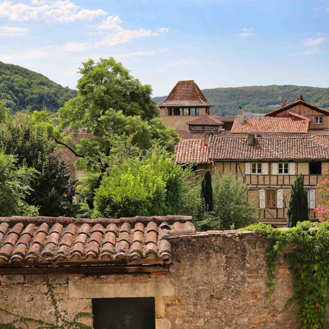 Point de vue sur les toits de Figeac