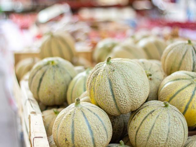 Melons on the market of Cahors
