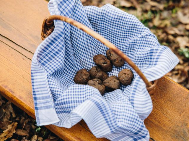 Truffle Basket