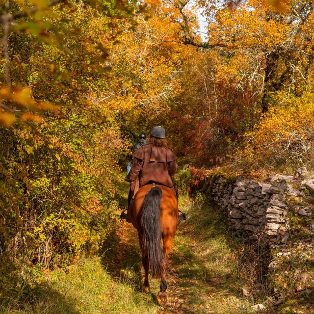 Rando Équestre En Vallée Du Célé © Ariane Fornia 201019 120850