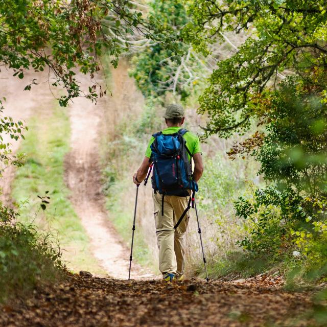 Randonneur Sur Les Chemins Du Géoparc © Lot Tourisme Gil Giuglio 190928 124839 2