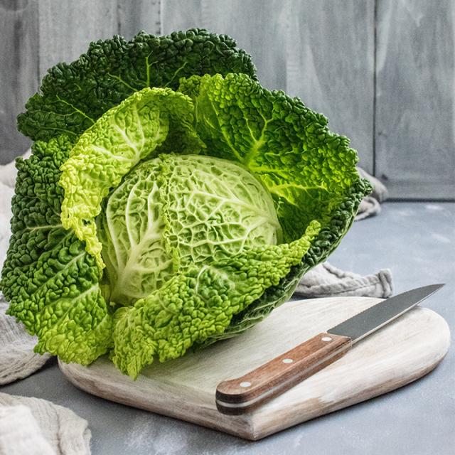 Cabbage Summary