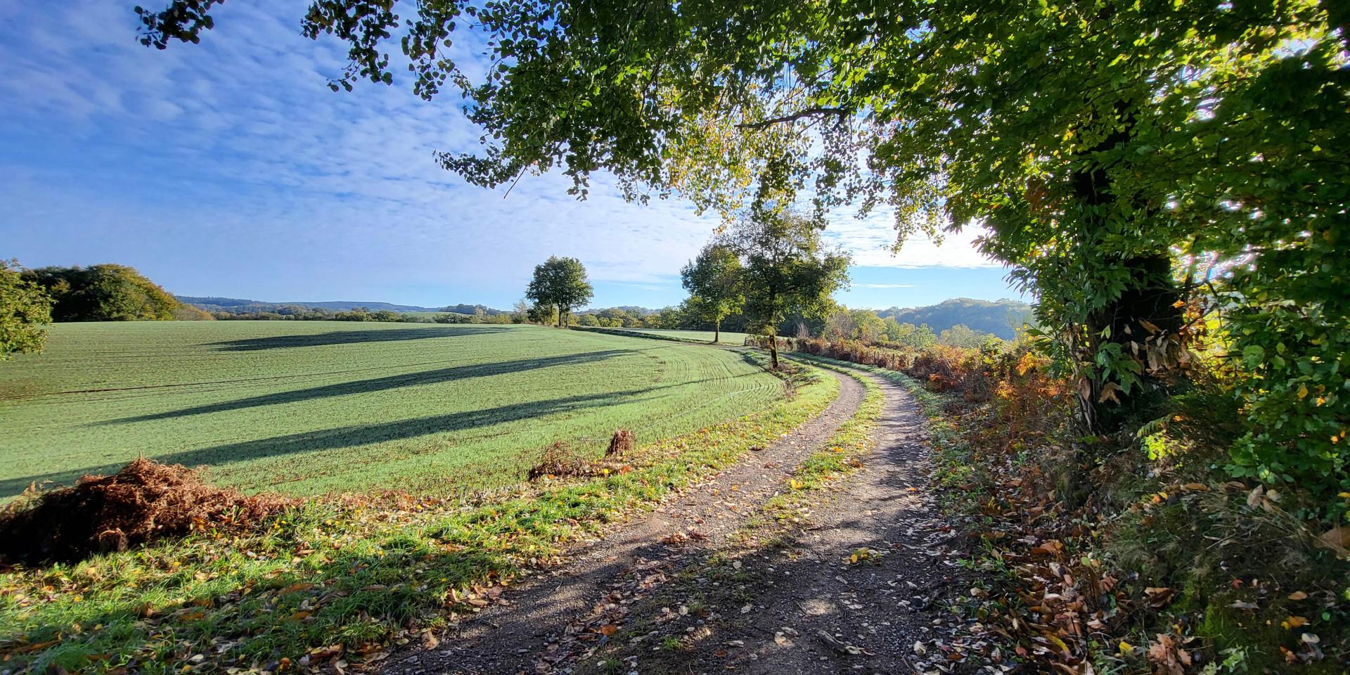 Balade dans le Ségala, un matin de printemps.