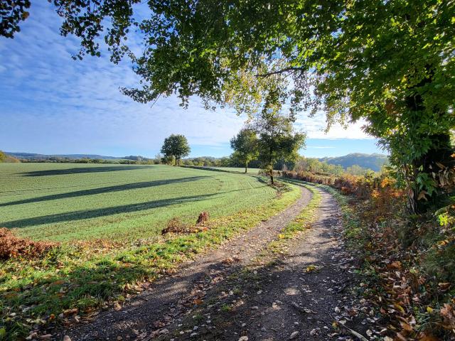 Chemin-de-rando-dans-le-Segala-Aude-Leconte-Lot-Tourisme-221105-094537.jpg