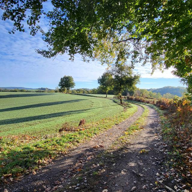 Chemin-de-rando-dans-le-Segala-Aude-Leconte-Lot-Tourisme-221105-094537.jpg