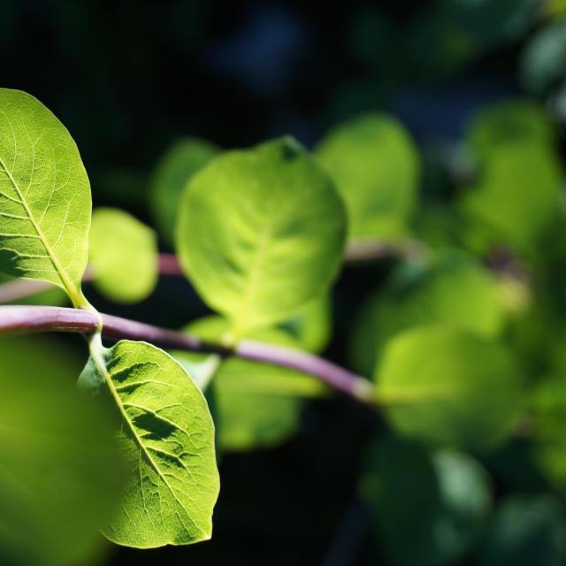 Le soleil illumine la nature lotoise.