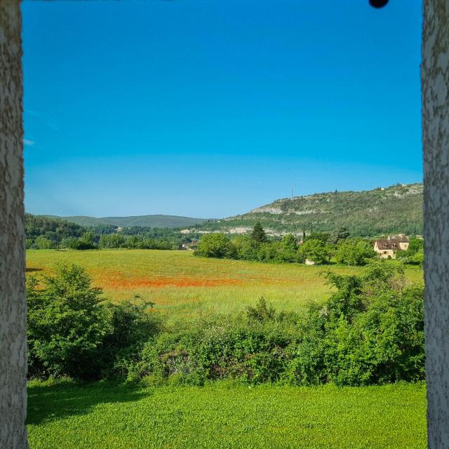 Domaine_des_Caselles-19