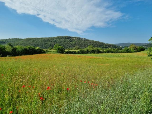 Dominio_des_Caselles-31