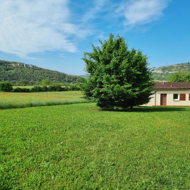 Domaine_des_Caselles-38