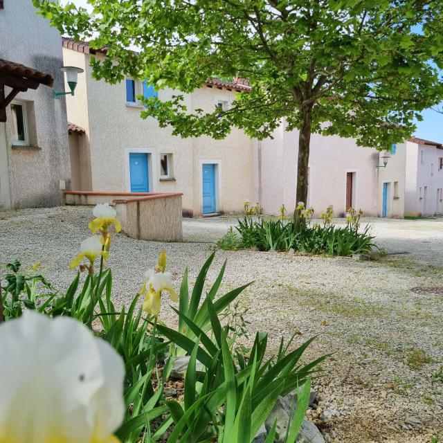 Domaine_des_Caselles-43