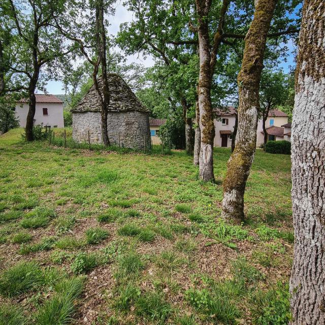 Domaine_des_Caselles-47
