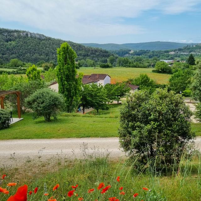 Domaine_des_Caselles-61