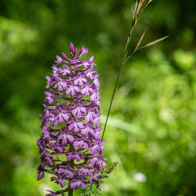 Nature Et Loisirs 3277