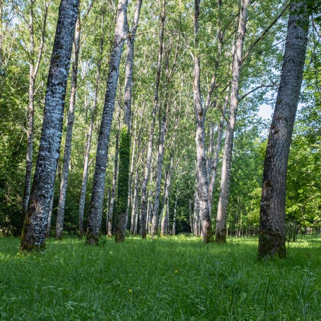 Nature Et Loisirs 7