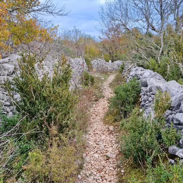 Pierre Levee Sauliac 153 Otgf N. Andrieu