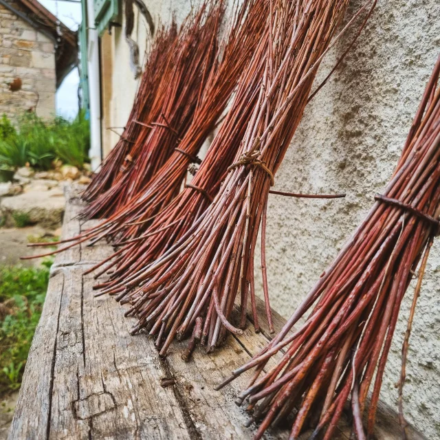 The Quercy Oseraie