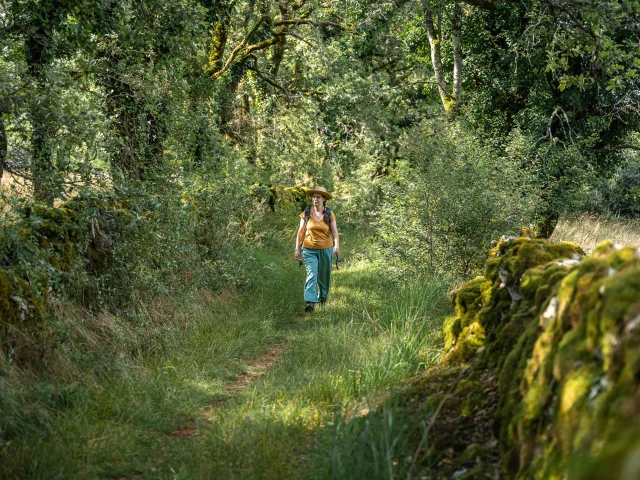 Randonneuse sur les chemins herbeux