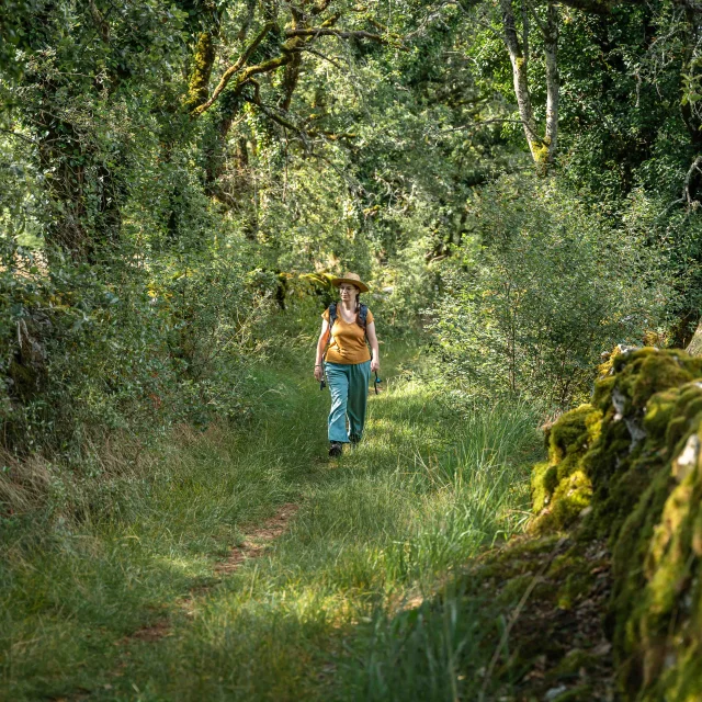 Randonneuse sur les chemins herbeux