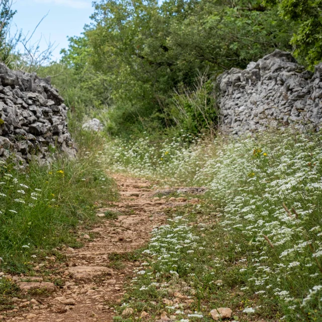 Photo spotting in the Célé valley