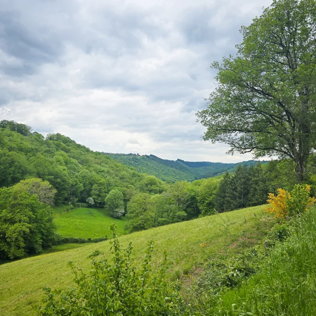 Vallons du Ségala à Linac