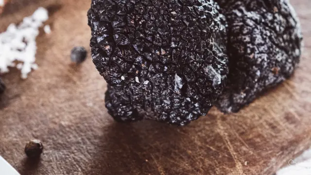 Terroir of the Lot