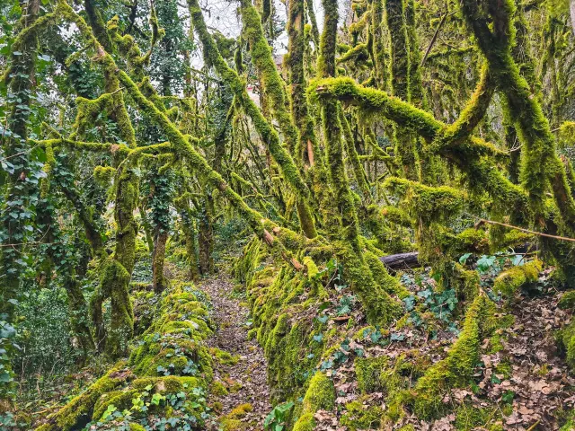 Chemin du Pousadou