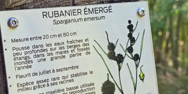 Panneau explicatif - Zone humide du Roc de France à Latronquière